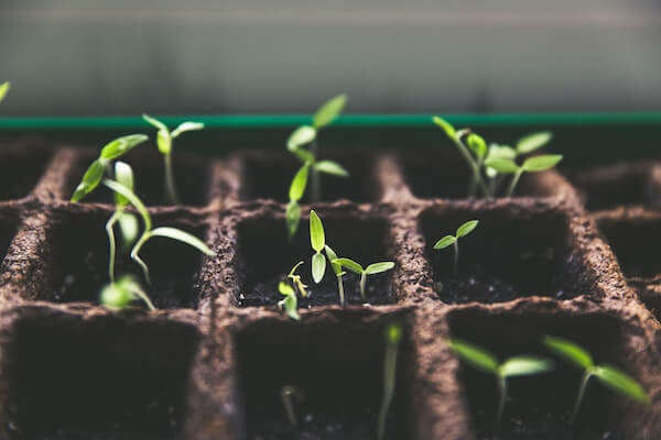 Invertir en startups con Dozen Investments